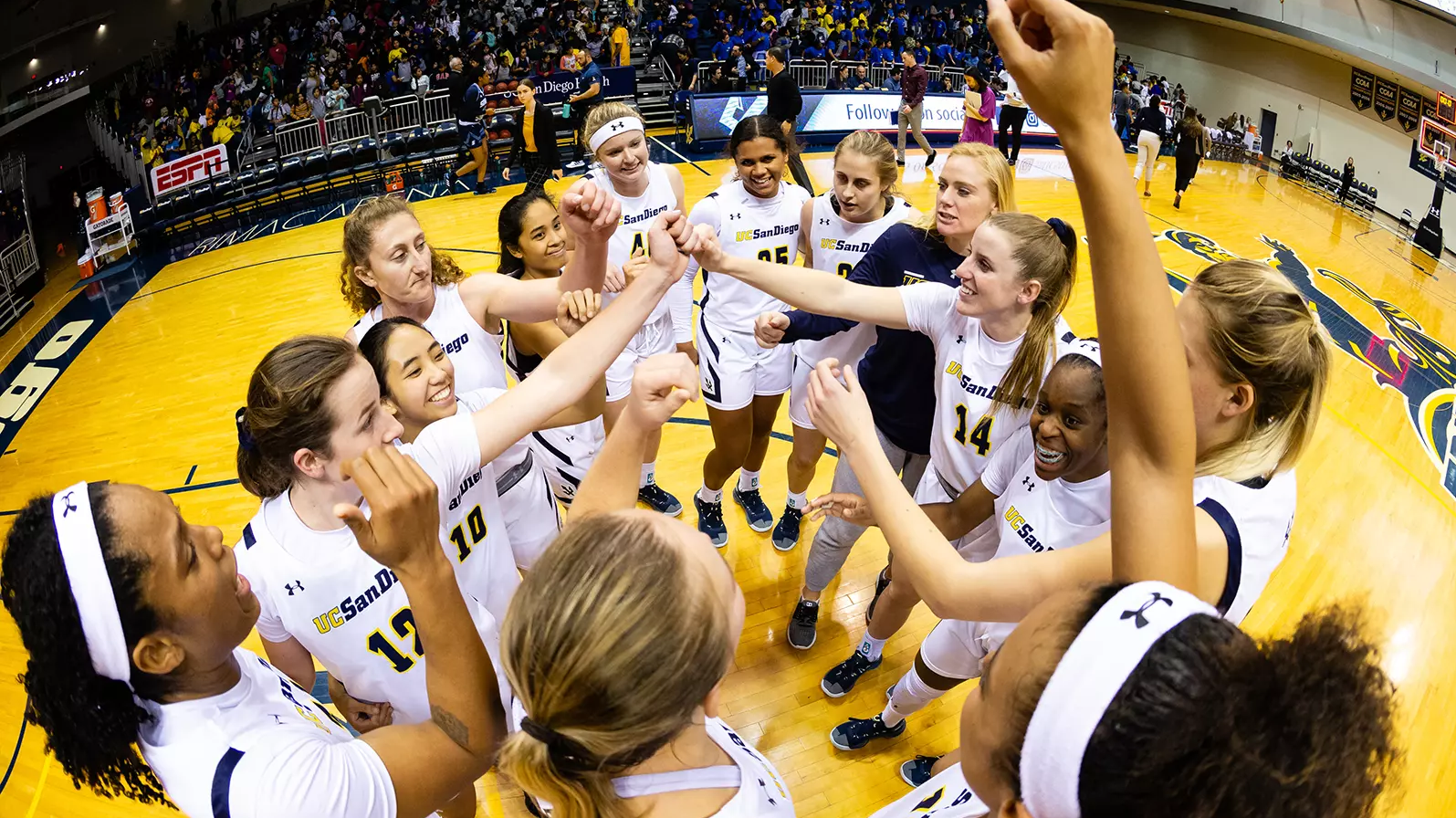 UC San Diego basketball team or Sports Performance Program
